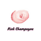 2 Pack - Pink Champagne Tinted Lip Balm